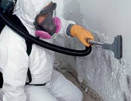 Asbestos and Lead Testing During Mold Inspection in Del Mar, CA